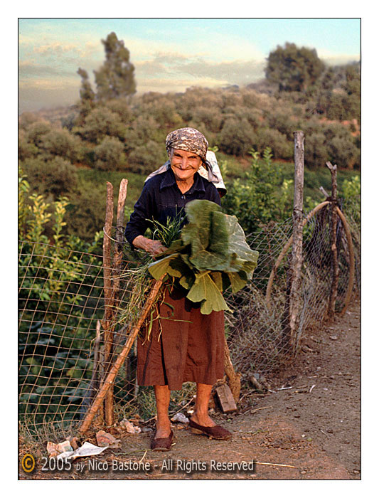 Nonna Santa - Grandma' Santa