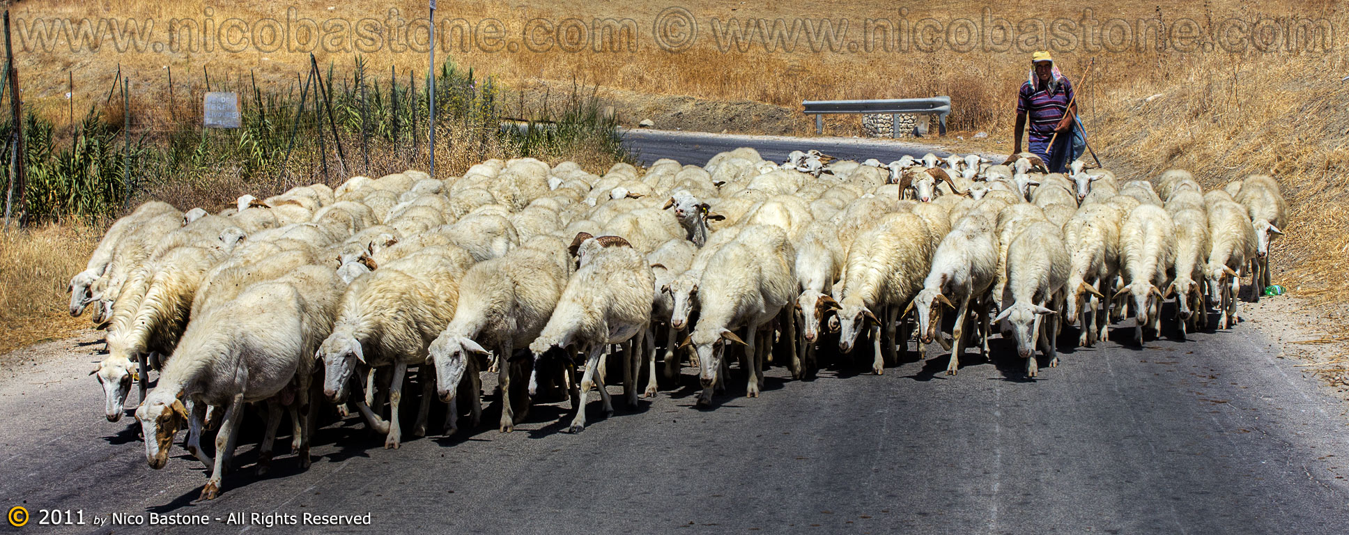 Montallegro AG "Pastore con gregge di pecore - A Shepherd with its flock of sheep" 1936x768