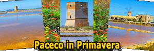 Paceco in Primavera tra Saline e Campi in fiore. Photo Gallery