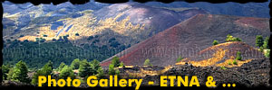 Etna &... - Photo Gallery 45 foto: Etna, S.Alfio, Milo, Fornazzo, Taormina, Castelmola, Giardini Naxos, Letoianni, Acitrezza, Torre Archirafi 