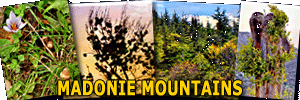 Madonie Mountains, Monti delle Madonie - Photo Gallery