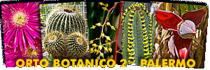 "Orto Botanico di Palermo 2 - Palermo Botanical Garden 2" - Photo Gallery