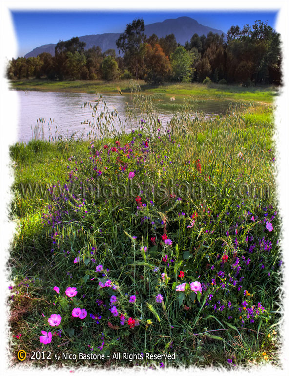 Piana degli Albanesi PA "Il lago - The Lake" 02 Color Fine Art Photography