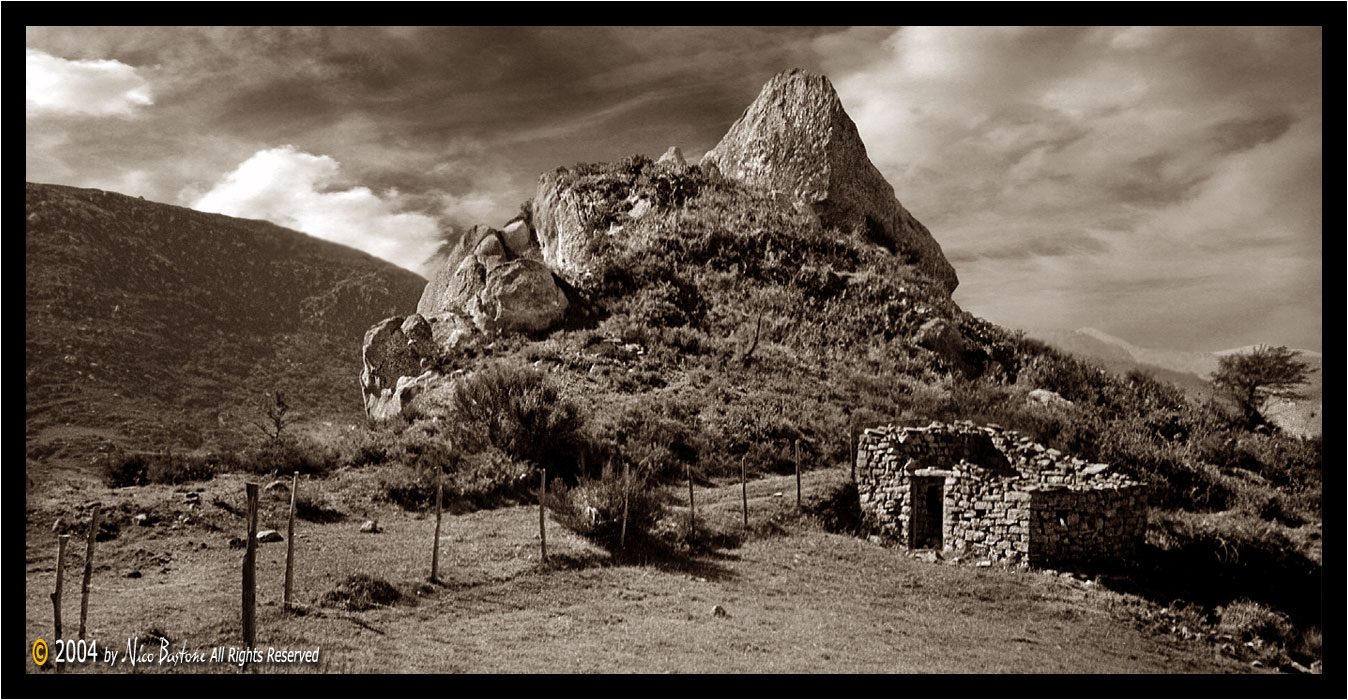 Foto Seppia "Sentiero Campestre" - Sepia Photos "A rural path"