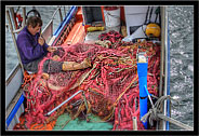 San Vito Lo Capo TP "Barca con pescatore - Boat with fisherman 4"