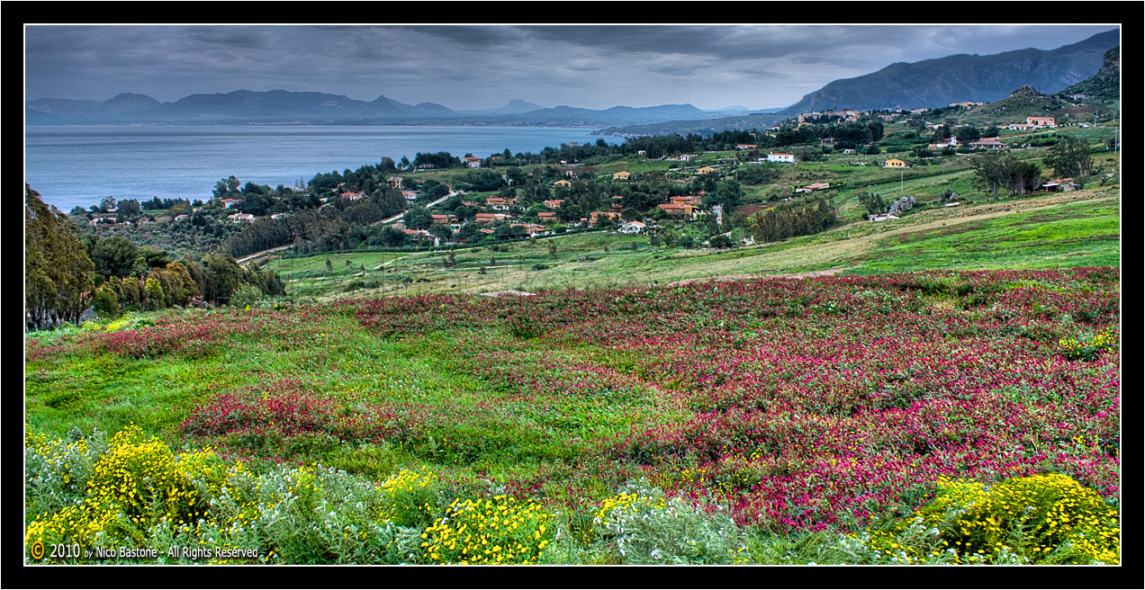 Scopello, Castellammare del Golfo, TP "Paesaggio  - Landscape"