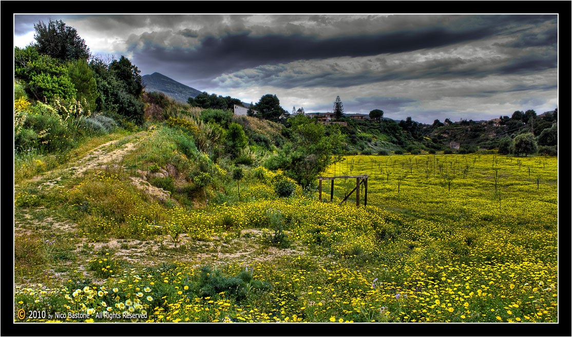 Scopello, Castellammare del Golfo, TP "Paesaggio  - Landscape"