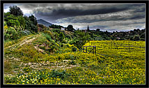 Scopello, Castellammare del Golfo, TP "Paesaggio  - Landscape"