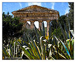 Segesta "The Temple"