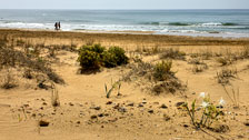 Campobello di Mazara TP, Tre Fontane "Panorama con spiaggia - Seascape beach" 1366x768