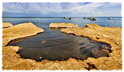 Valderice TP "Tonnara di Bonagia - Alghe e barche - Algae and boats 1"