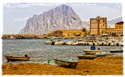 Valderice TP "Tonnara di Bonagia - Alghe e barche - Algae and boats 2"