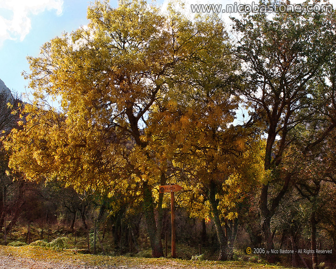 Sfondo, sfondi  per Desktop - Wallpaper, wallpapers 1280x1024 - Copyright by Nico Bastone. All Rights Reserved