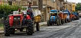 05Menfi-Vendemmia.jpg