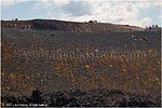 Vulcano Etna - Etna Volcan 12 Trekking sui crateri Silvestri