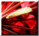 Composizione in Rosso - A Red Composition