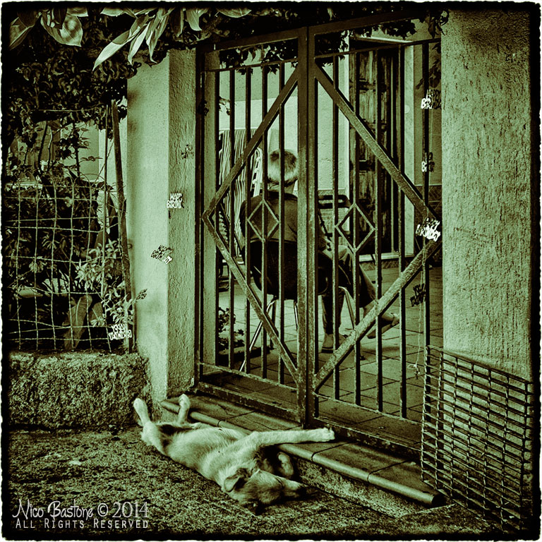 Solitudine - Solitude 3